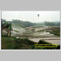 14570 Reisterrassen Bali 1986.jpg